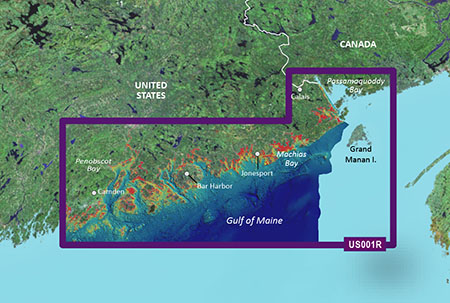Garmin 010-C0702-00 VUS001R G3 Vision North Maine