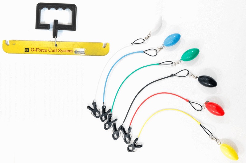 TH Marine GFC-CCSG2-DP G-Force Conservation Culling System Gen2
