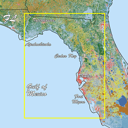 Garmin 010-C1202-00 Florida West Pen Standard Mapping
