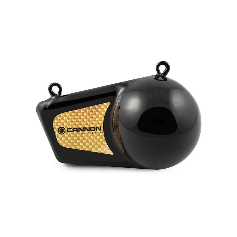 Cannon 2295190 12 Pound Flash Weight