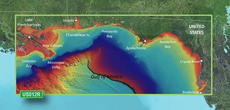 Garmin 010-C0713-00 VUS012R G3 Vision Tampa to New Orleans